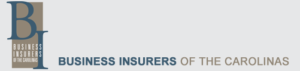 Business Insurers of the Carolinas logo