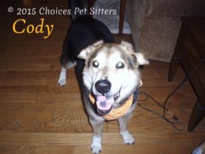 The Pet Gallery - Cody Smiling