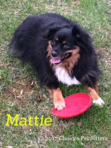 Mattie