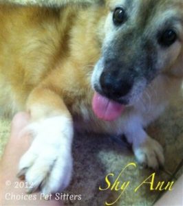 Shy Ann #2