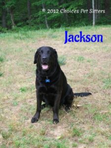 Jackson #2