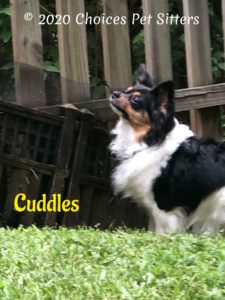 Cuddles #5