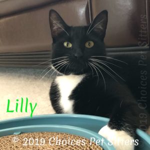 Lilly M #2