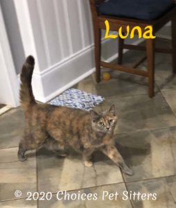 Luna W