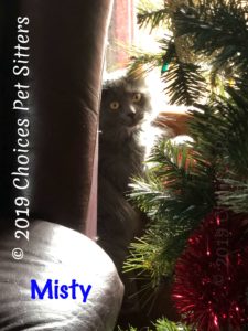 Misty - Christmas