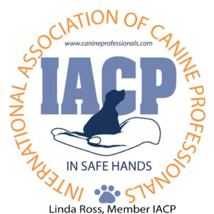 IACP logos