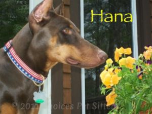 Hana