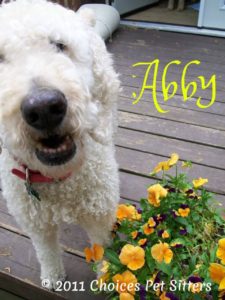 Abby H