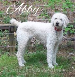 Abby
