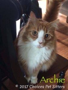 Archie #2