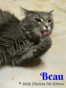 Beau