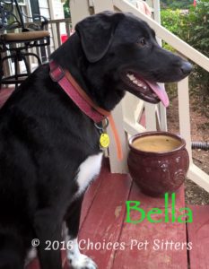 Bella