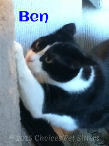 Ben
