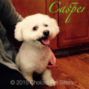 Casper