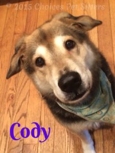 Pet Gallery - Cody