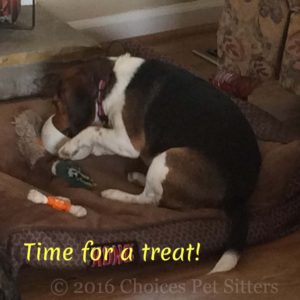 Pet Gallery - Time for a treat
