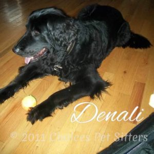 Denali 3
