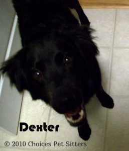 Dexter