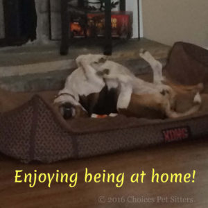 Enjoying being at home