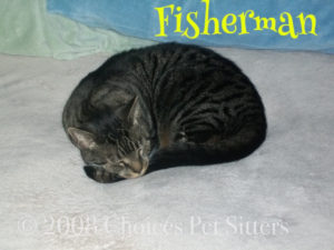 Pet Gallery - Fisherman