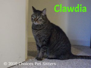 Clawdia