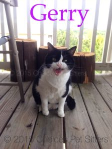 Pet Gallery - Gerry