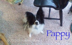 Pappy