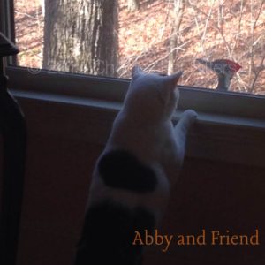 Pet Gallery - Abby & Friend