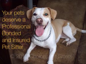 Your pets deserve