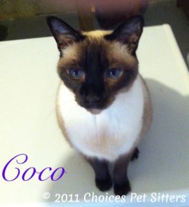Coco H