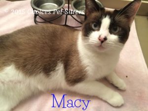 Macy