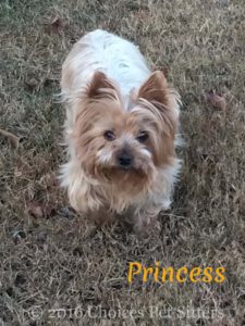 Princess