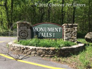 Monument Falls I Community