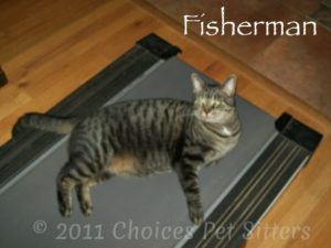 Pet Gallery - Fisherman
