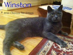 Winston A Katt