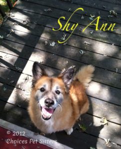 Pet Gallery - Shy Ann