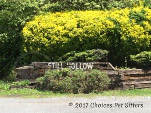 Still Hollow Community