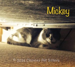 Mickey
