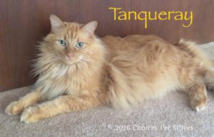 Tanqueray