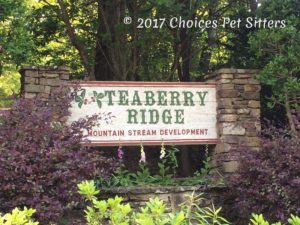 Teaberry Ridge Community