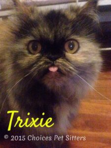 Pet Gallery - Trixie