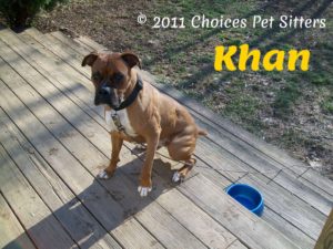 Khan - sitting