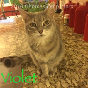 Violet
