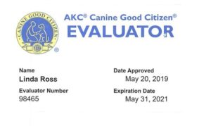 AKC Canine Good Citizen Evaluator