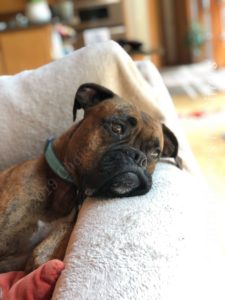 Resting at home