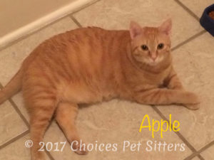 Apple