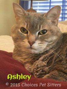Ashley