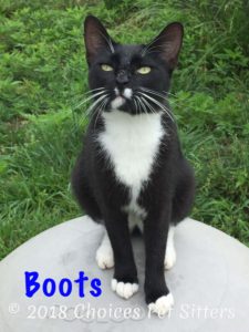 Boots #1