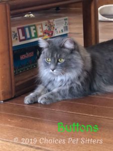 Buttons