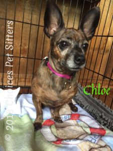 Chloe #2